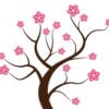 cherry blossoms tree vector