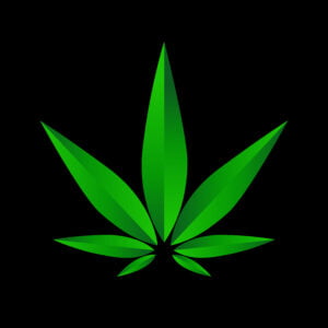 Marijuana cannabis hemp leaf vector illustration Free Download