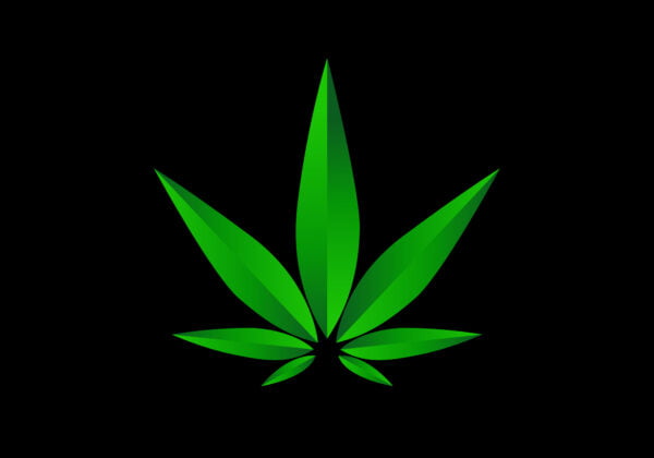 Marijuana cannabis hemp leaf vector illustration Free Download