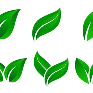 Set of green leaf logo design vector icons Free Download