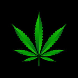 Cannabis Marijuana Weed leaf Vector Illustraion Free Download