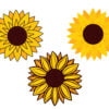 Vector sunflower set collection icon vector isolated Free Download