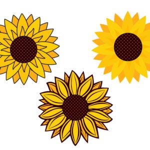 Vector sunflower set collection icon vector isolated Free Download