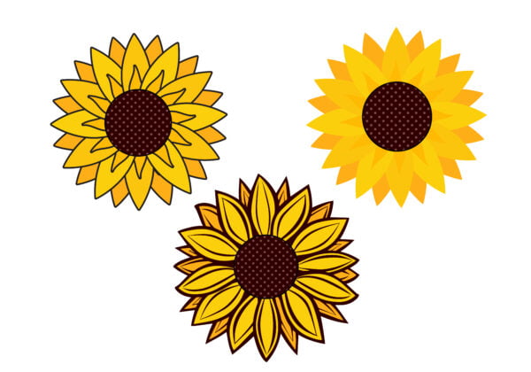 Vector sunflower set collection icon vector isolated Free Download